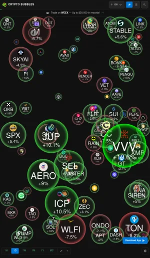 Crypto Bubble Chart Market Data Visualizer screenshot