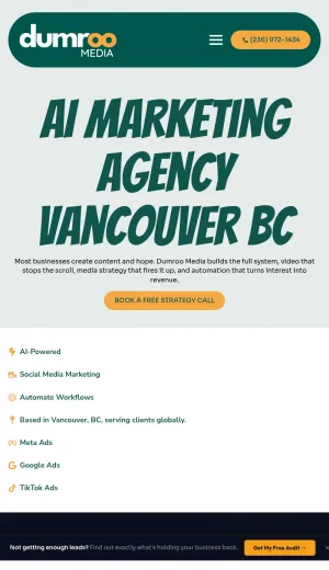 Dumroo Media - AI Marketing for Vancouver Service Businesses screenshot