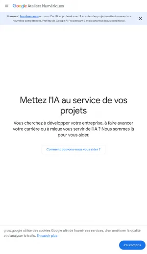 Grow with Google Digital Skills and AI Training screenshot