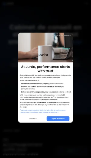 Junto Growth Marketing and Digital Strategy Agency screenshot