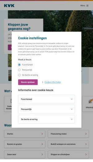 Dutch Chamber of Commerce Business Registration and Advice screenshot