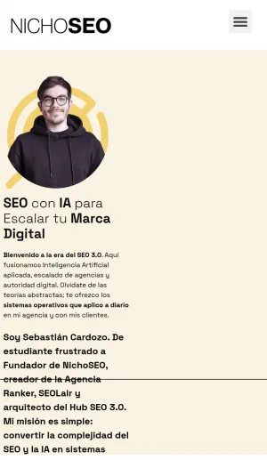 NichoSEO: SEO, AI and Digital Marketing Education screenshot