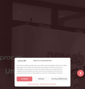 Procab Studio - Web Agency and Digital Marketing in Geneva screenshot