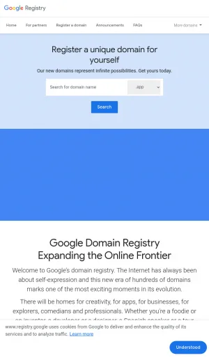 Google Registry for Domain Registration and New Extensions screenshot