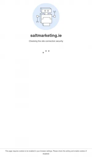 Salt Marketing Ireland Digital Marketing Agency screenshot