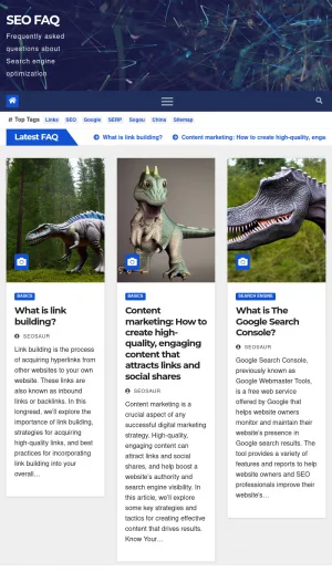 SEO FAQ Search Engine Optimization Questions and Guidance screenshot