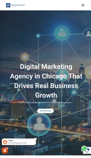 The Digital IT Solutions Chicago Digital Marketing Agency screenshot