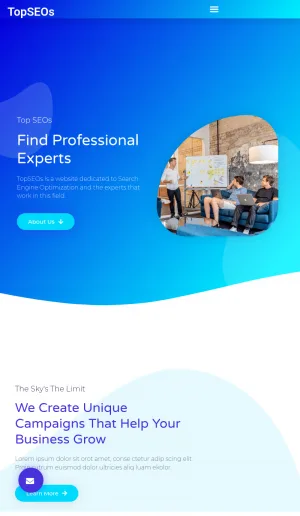 TopSEOs SEO Consultants and Search Optimization Directory screenshot