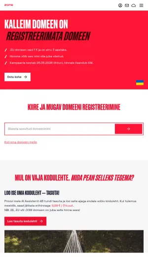 Zone Web Hosting and Domain Services screenshot